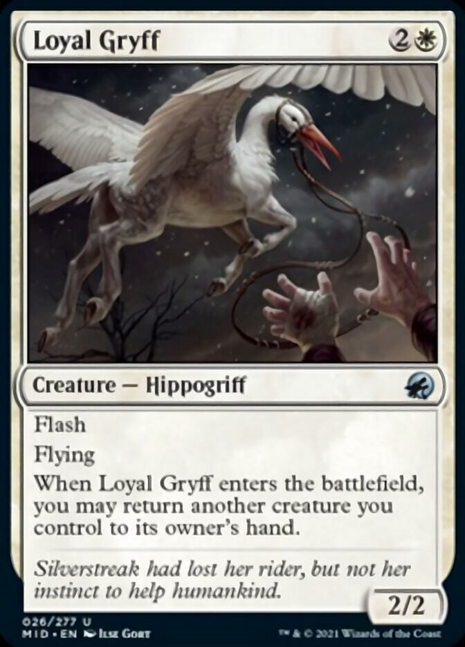 Loyal Gryff [Innistrad: Midnight Hunt] | Pegasus Games WI