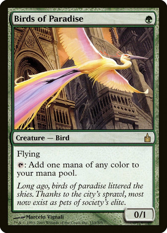 Birds of Paradise [Ravnica: City of Guilds] | Pegasus Games WI
