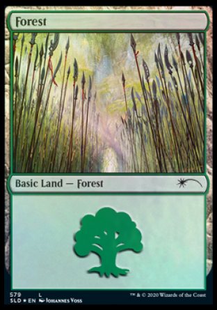 Forest (Elves) (579) [Secret Lair Drop Promos] | Pegasus Games WI
