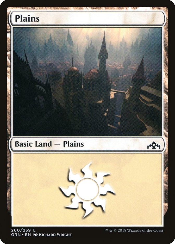 Plains (260) [Guilds of Ravnica] | Pegasus Games WI