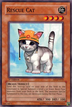 Rescue Cat [FET-EN033] Common | Pegasus Games WI
