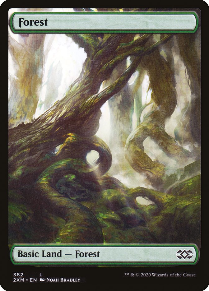 Forest (382) [Double Masters] | Pegasus Games WI