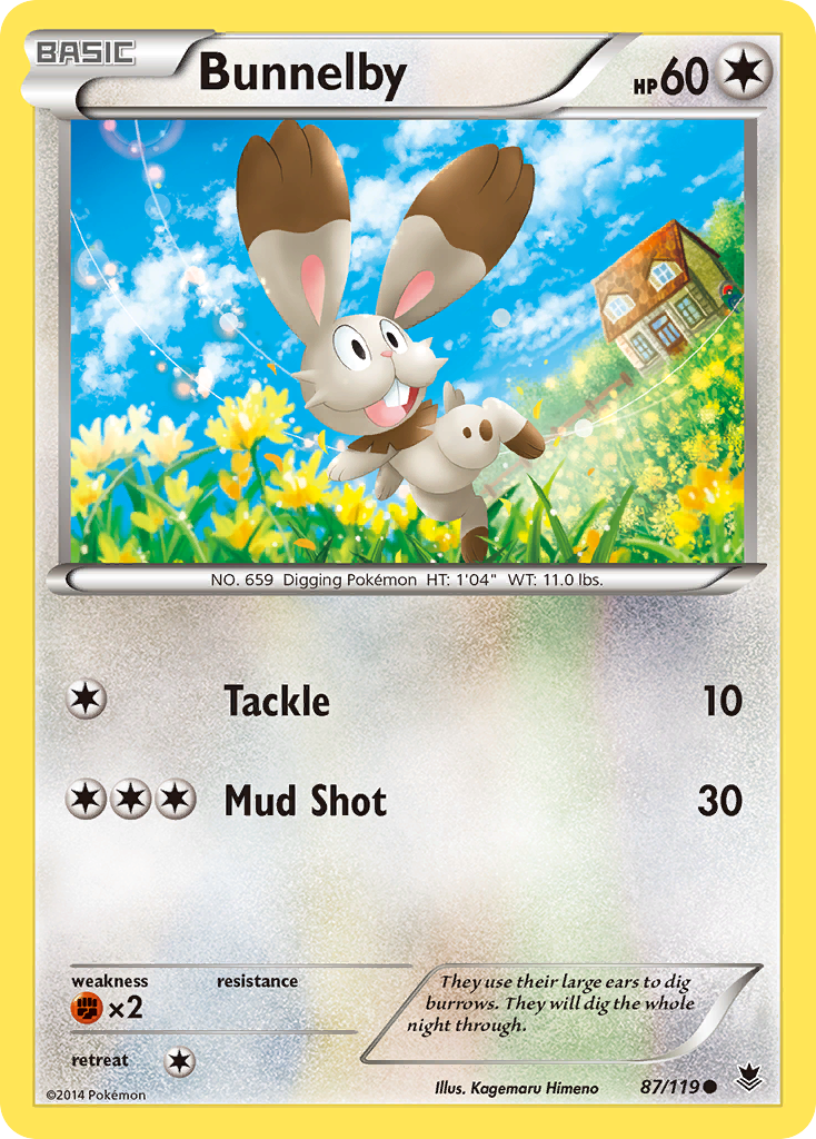 Bunnelby (87/119) [XY: Phantom Forces] | Pegasus Games WI