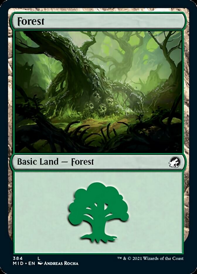 Forest (384) [Innistrad: Midnight Hunt] | Pegasus Games WI