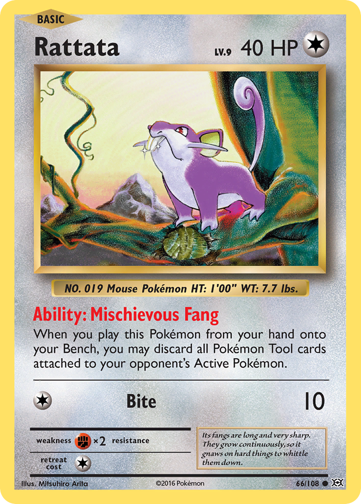 Rattata (66/108) [XY: Evolutions] | Pegasus Games WI