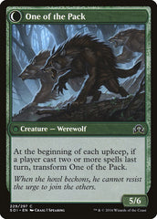 Solitary Hunter // One of the Pack [Shadows over Innistrad] | Pegasus Games WI