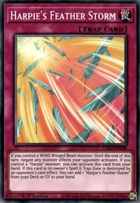 Harpie's Feather Storm [LDS2-EN088] Common | Pegasus Games WI