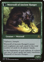 Sage of Ancient Lore // Werewolf of Ancient Hunger [Shadows over Innistrad] | Pegasus Games WI