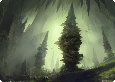 Forest (280) Art Card [Dungeons & Dragons: Adventures in the Forgotten Realms Art Series] | Pegasus Games WI