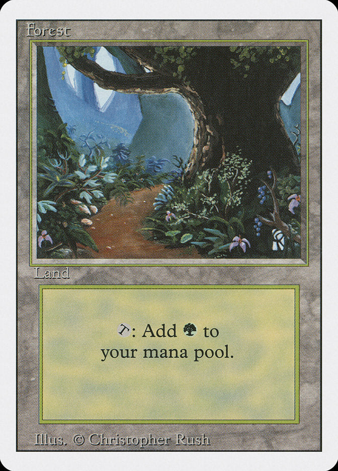 Forest (Flower Path) [Revised Edition] | Pegasus Games WI