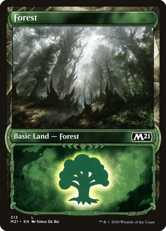 Forest (313) (Showcase) [Core Set 2021] | Pegasus Games WI