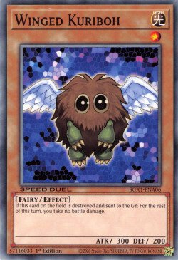 Winged Kuriboh [SGX1-ENA06] Common | Pegasus Games WI
