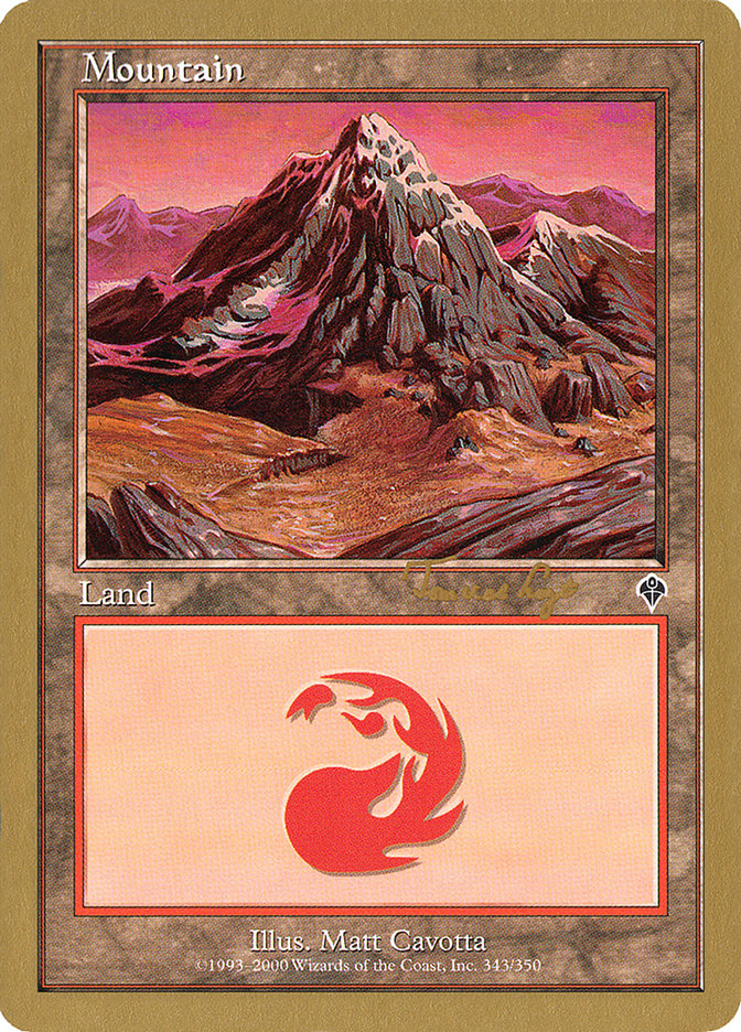 Mountain (tvdl343) (Tom van de Logt) [World Championship Decks 2001] | Pegasus Games WI