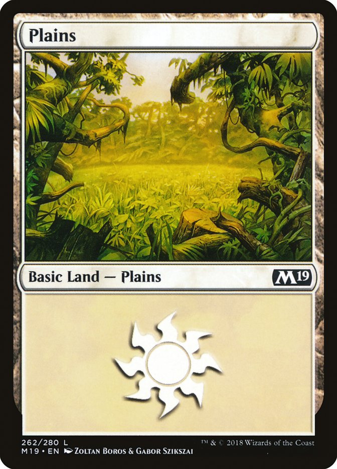 Plains (262) [Core Set 2019] | Pegasus Games WI