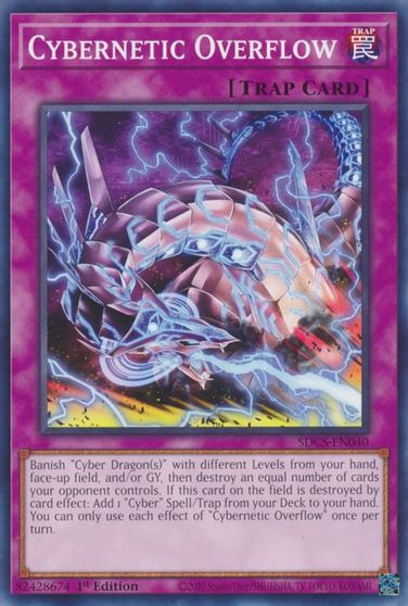 Cybernetic Overflow [SDCS-EN040] Common | Pegasus Games WI
