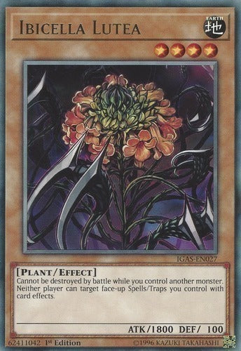 Ibicella Lutea [MP21-EN009] Common | Pegasus Games WI