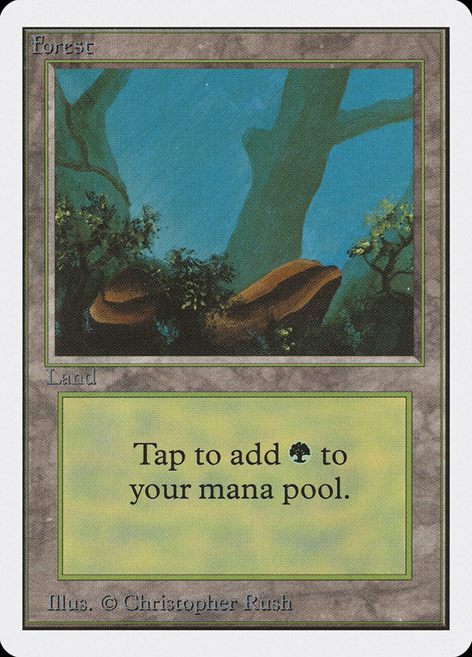 Forest (300) [Unlimited Edition] | Pegasus Games WI