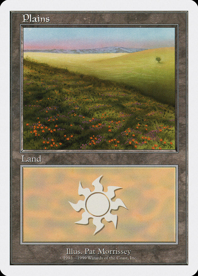 Plains (125) [Battle Royale] | Pegasus Games WI