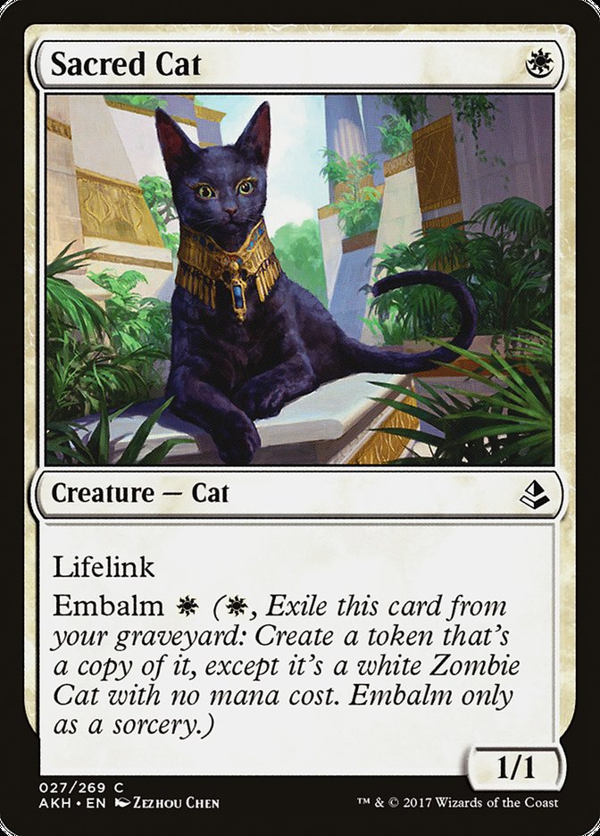 Sacred Cat [Amonkhet] | Pegasus Games WI
