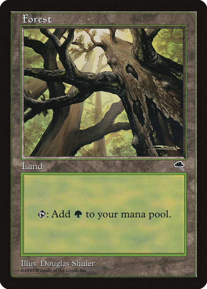 Forest (Looking from Below) [Tempest] | Pegasus Games WI