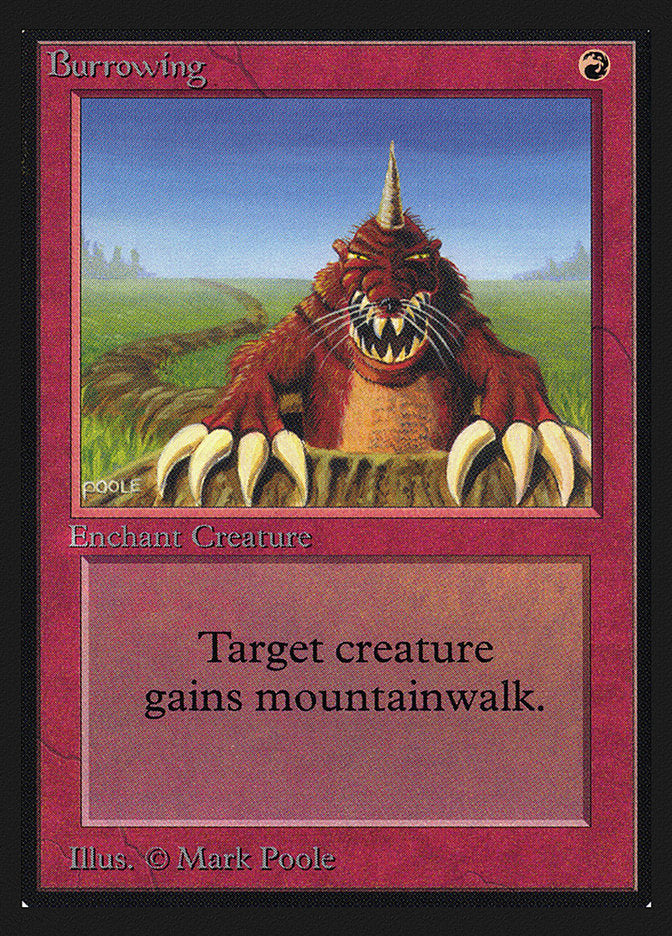 Burrowing [Collectors' Edition] | Pegasus Games WI