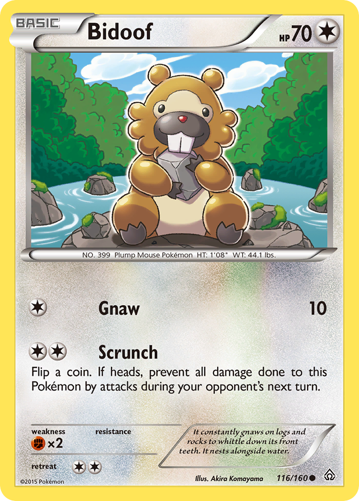 Bidoof (116/160) [XY: Primal Clash] | Pegasus Games WI