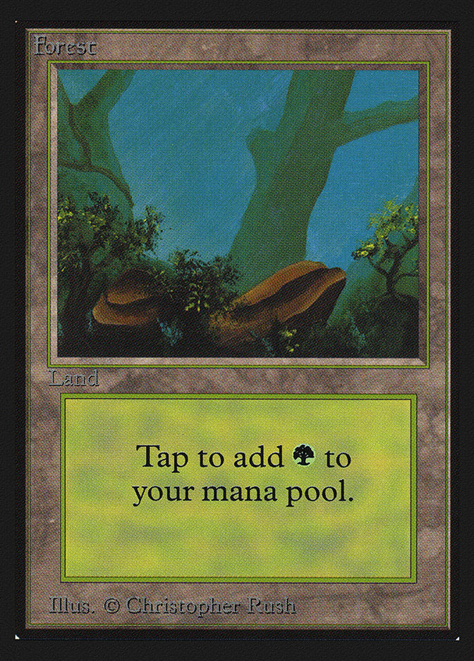 Forest (Two Stones) [Collectors' Edition] | Pegasus Games WI